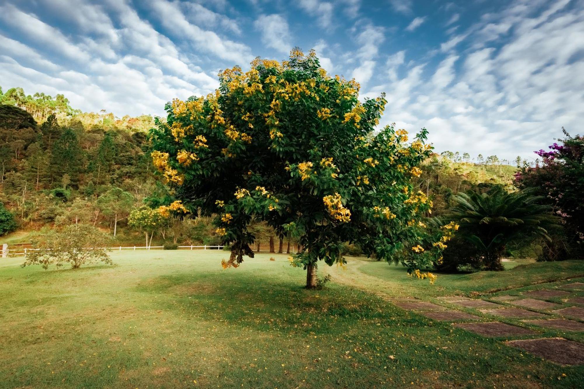 Sitio D Ouro Villa Marechal Floriano Buitenkant foto